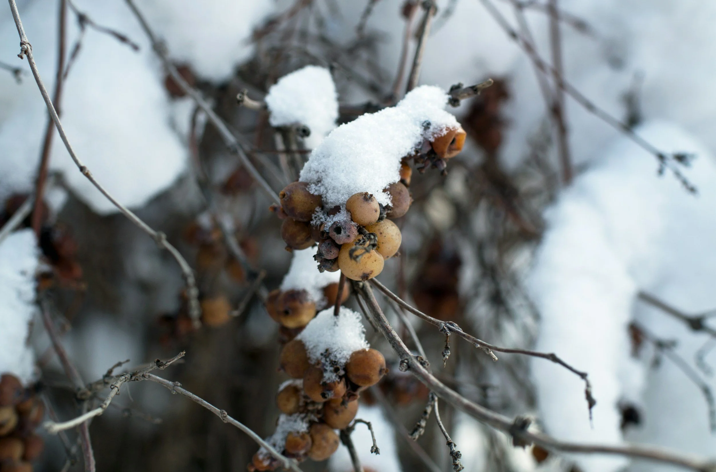 Worship Sunday, February 8