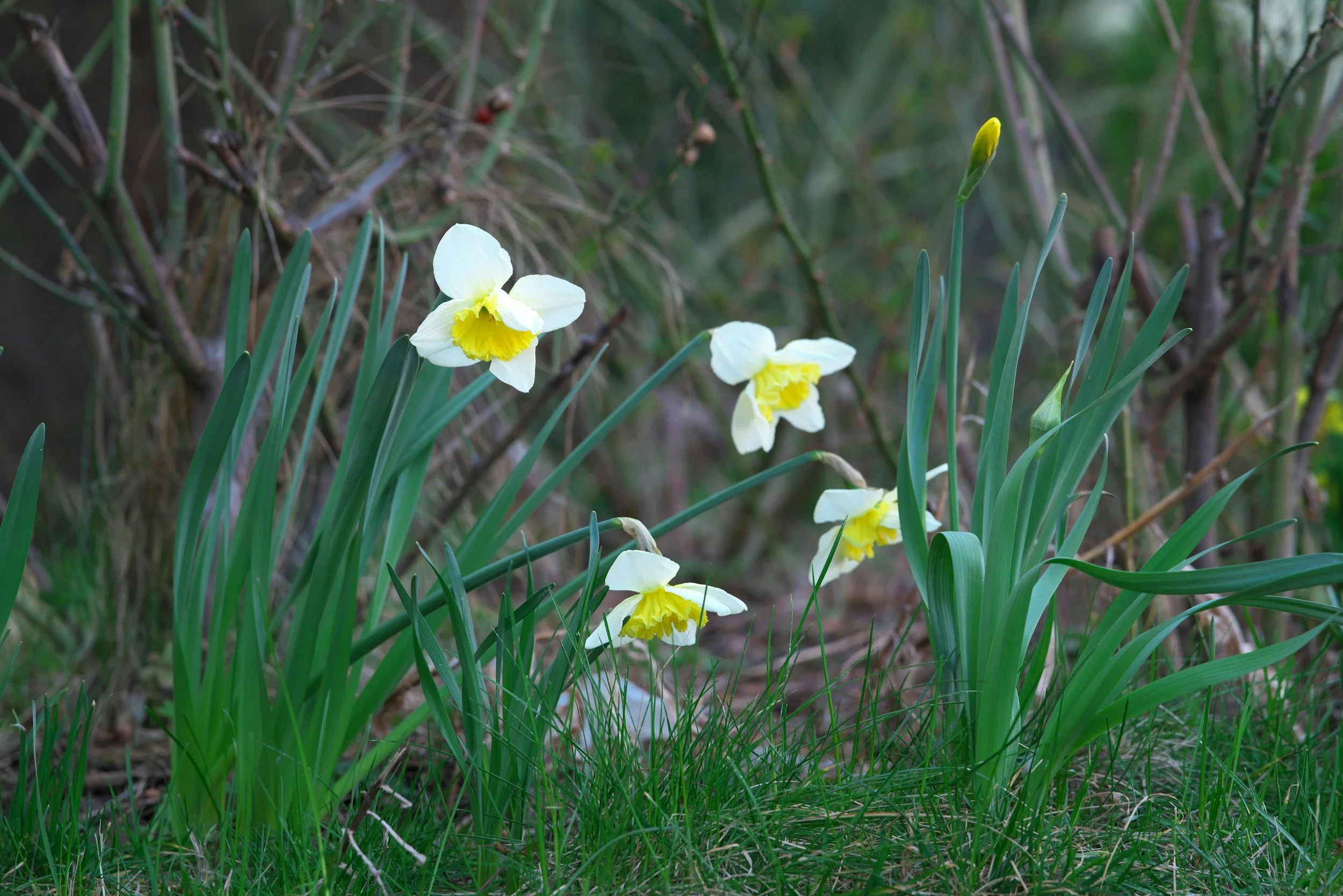 A Letter from Lindy Feb 22