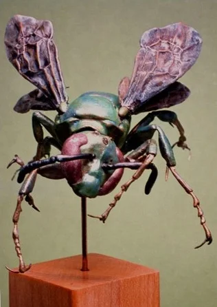thumbnail_sweatBee4.jpg