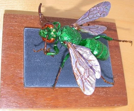 thumbnail_sweatBee0.jpg