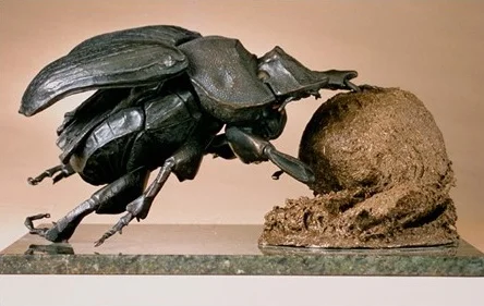 thumbnail_dungBeetle1.jpg