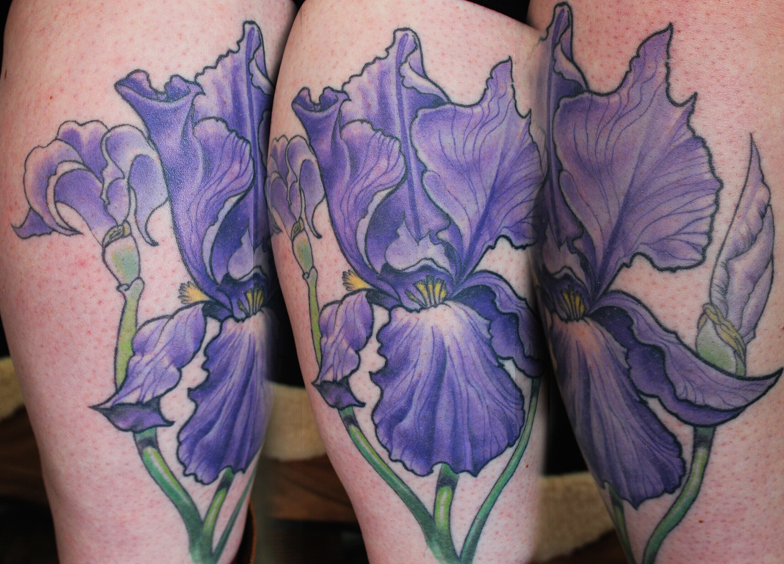 IRIS