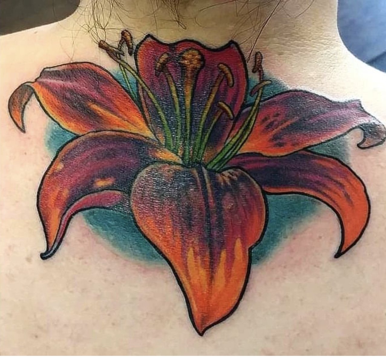 STARGAZER LILY
