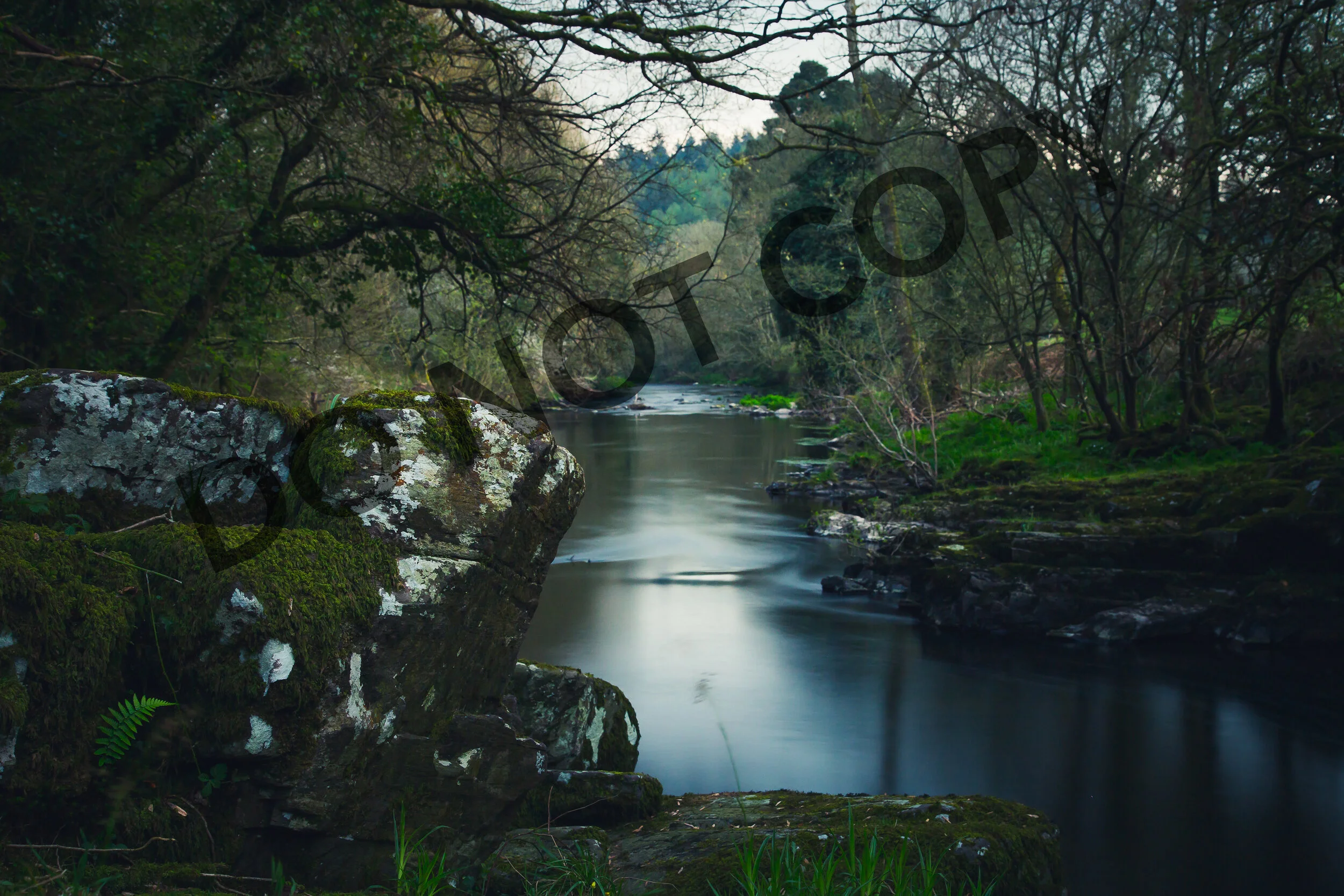 The Colligan River