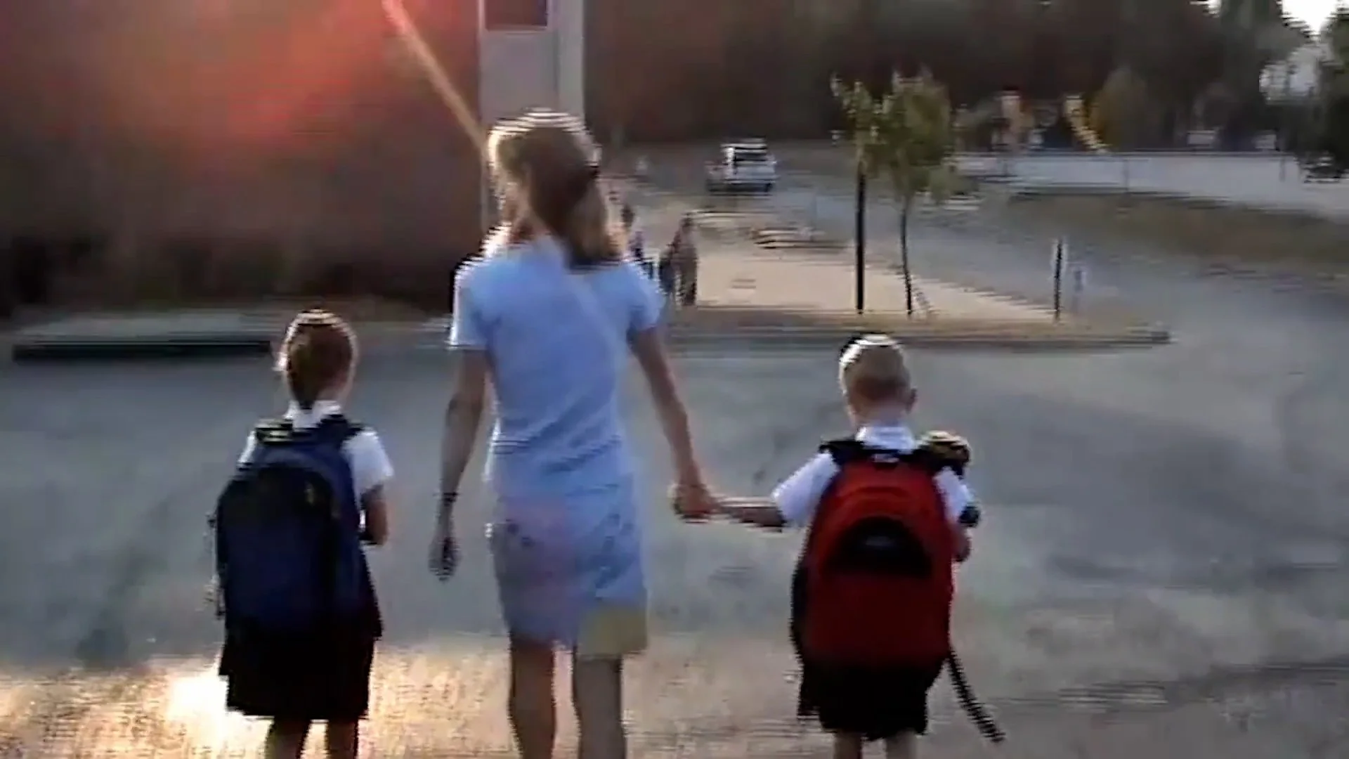 3 walking.jpg