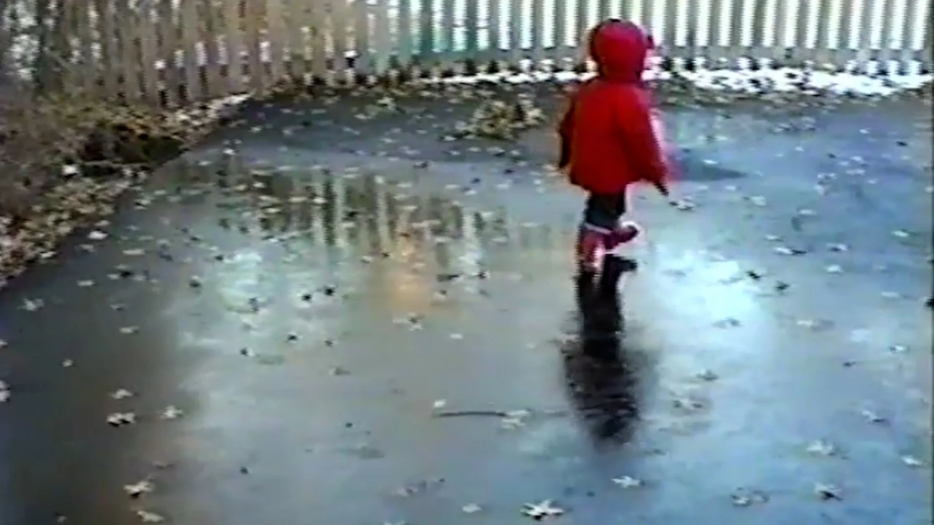 Fault-Lines_HD_h264_EN-en_20_20240522.mov.01_00_44_19.Still001.jpg