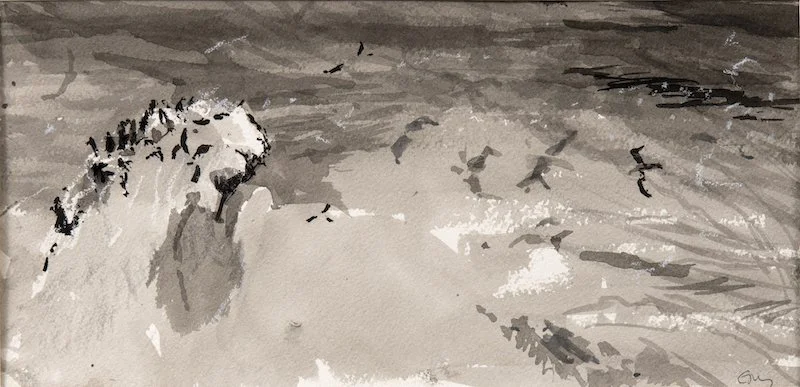 Mayhem at St Abbs.jpeg