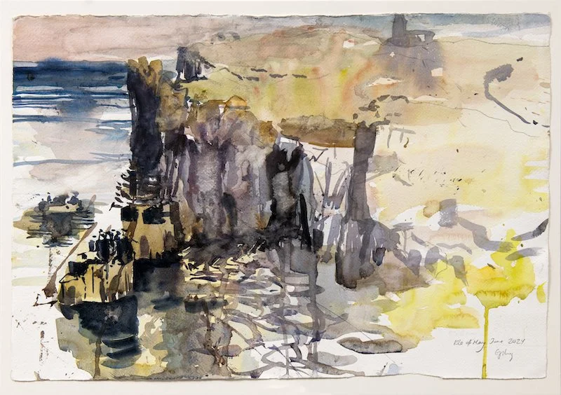 Isle of May web.jpeg