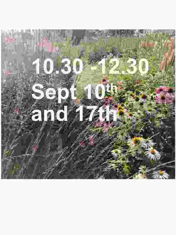 web sept.jpg