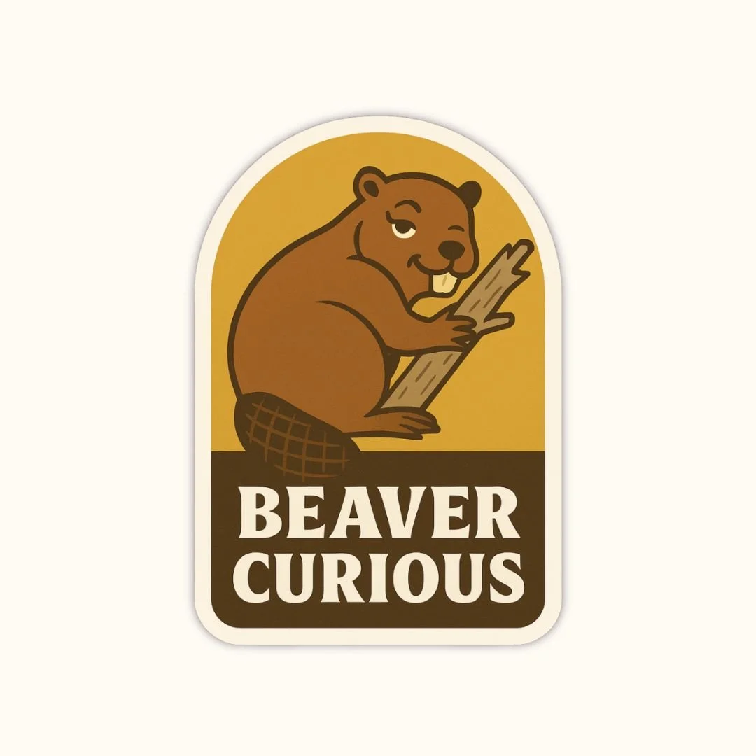 Beaver Curious - Sticker