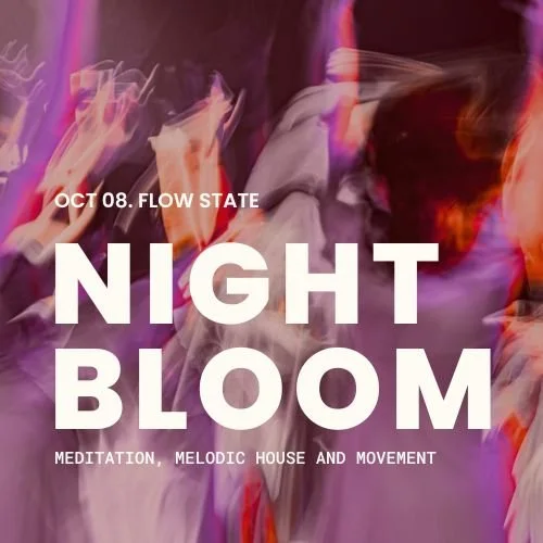 Night Bloom