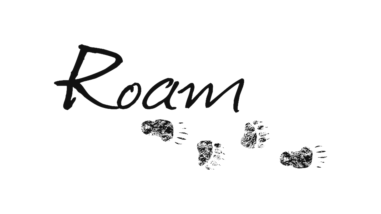 Roam Transit