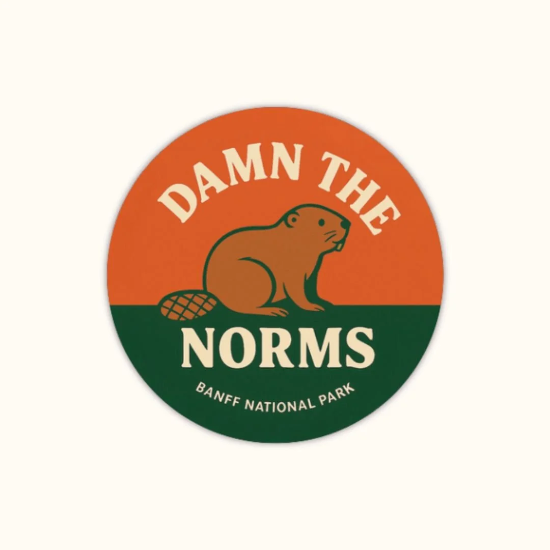 Damn The Norms - Button