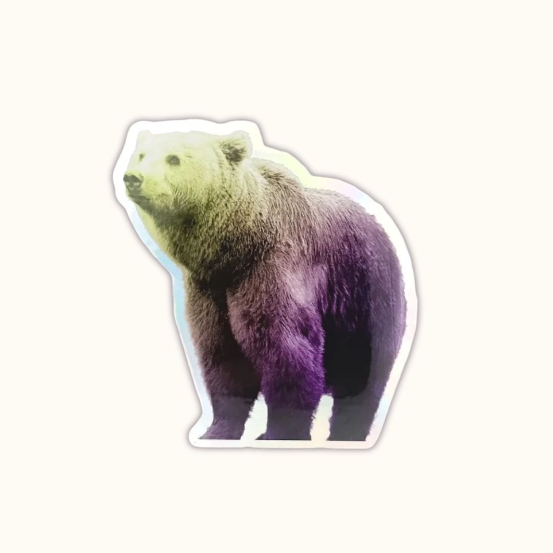 Aurora Bear - Sticker