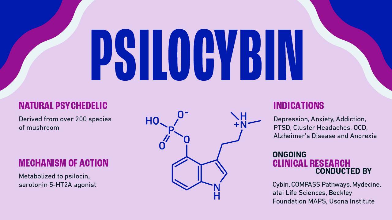 Psilocybin Assisted Psychotherapy legally, Psilocybin Psychotherapist