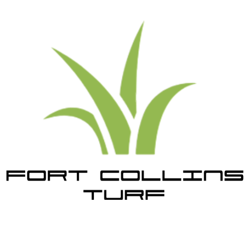 East Valley Turf expands to Colorado