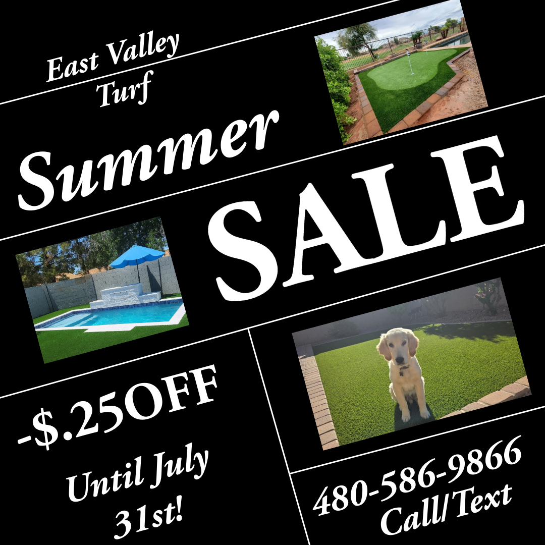 Summer Special!!!