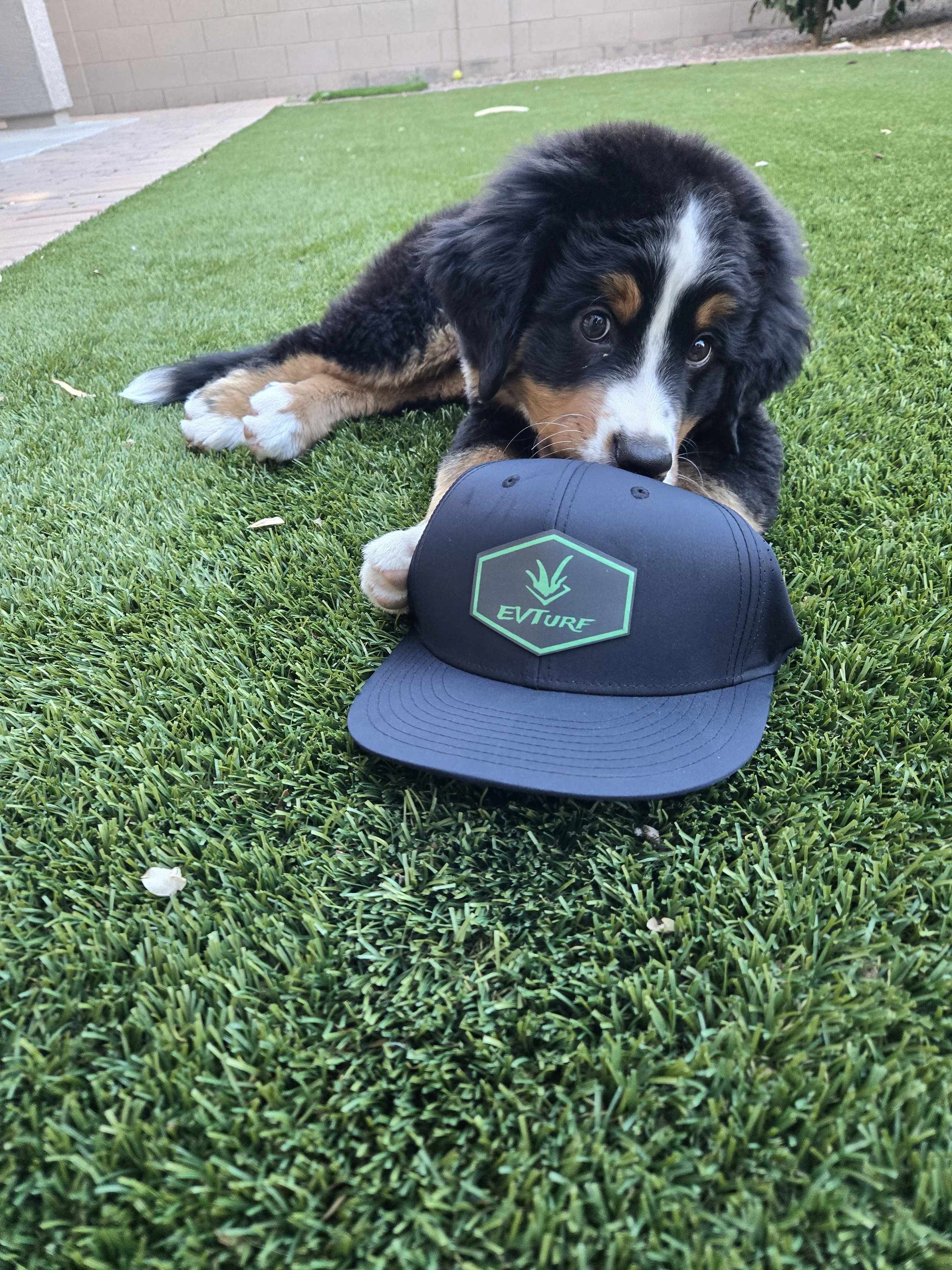 East Valley Turf:Why Choose us?