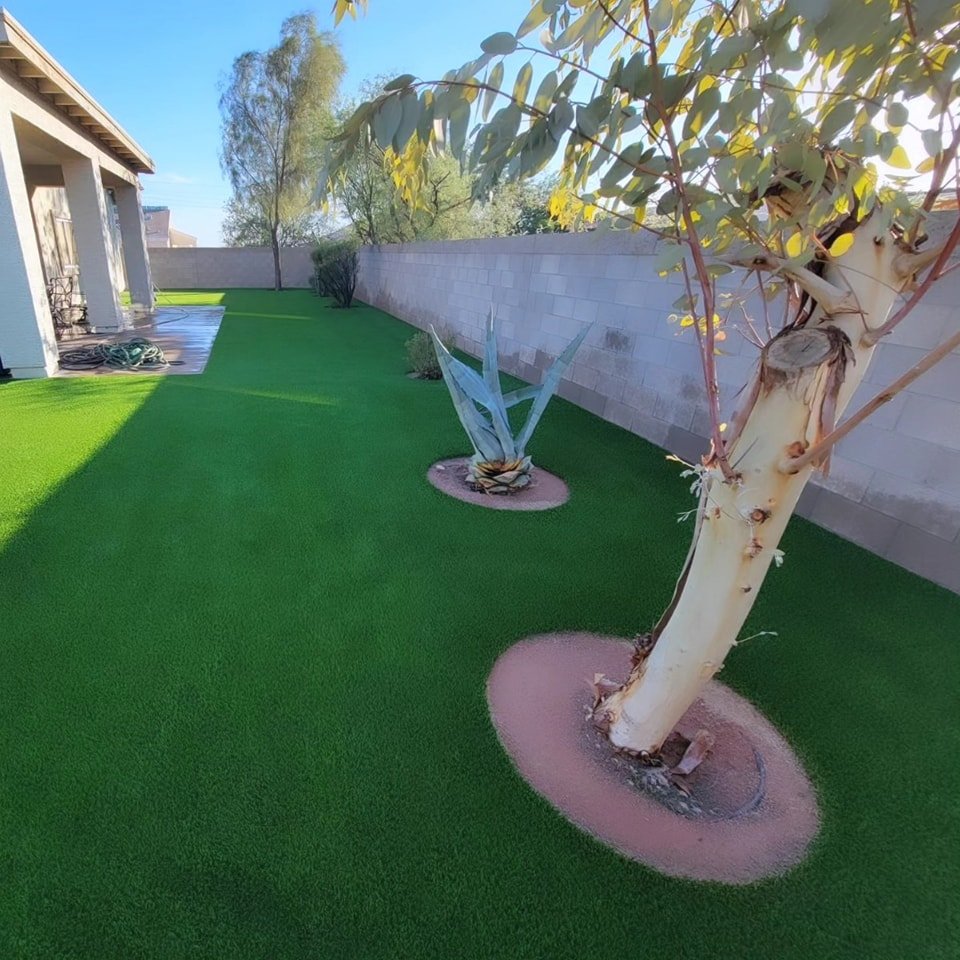 Curious about Turf Cost?