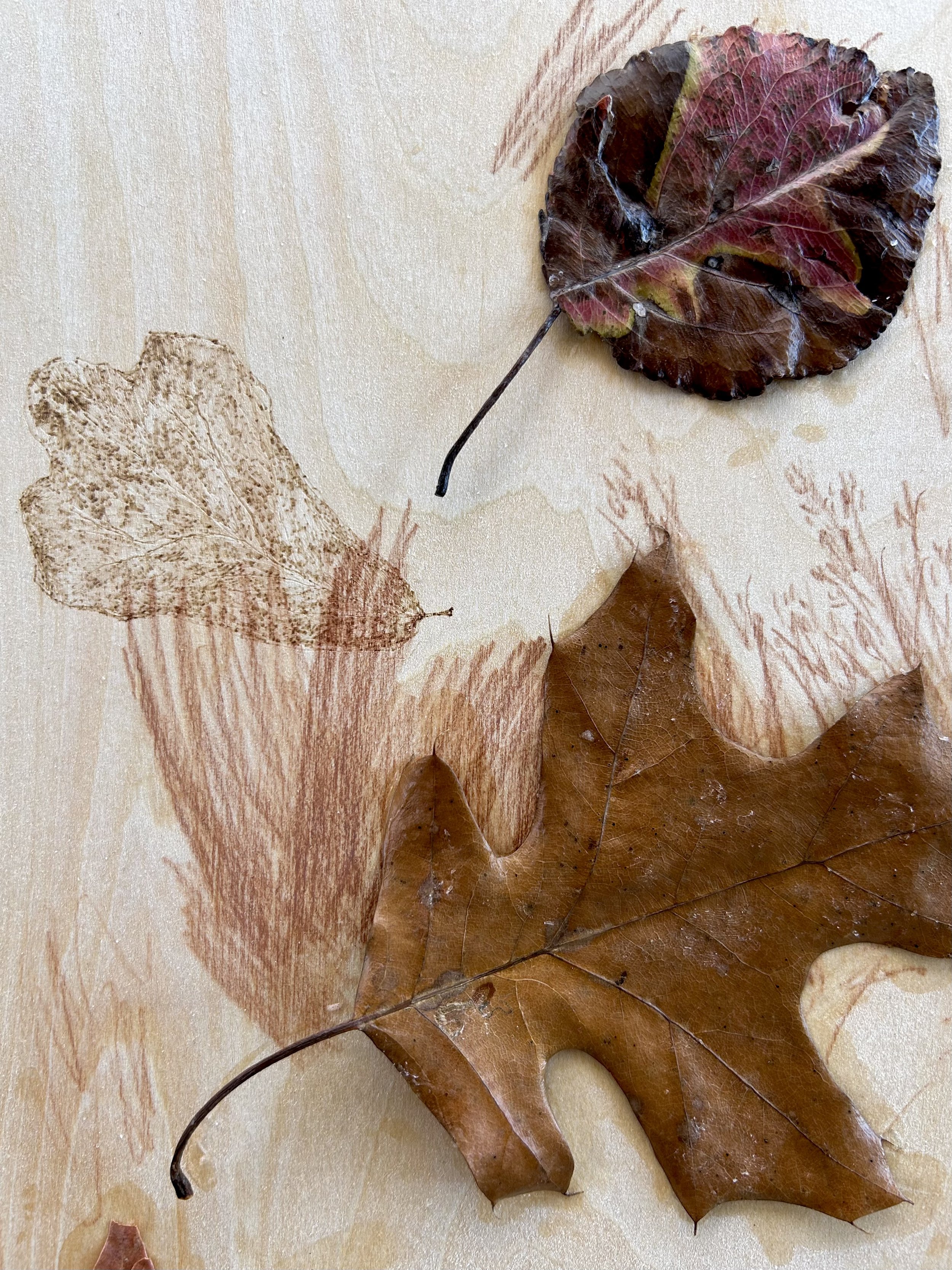 FullSizeRender (7).jpeg