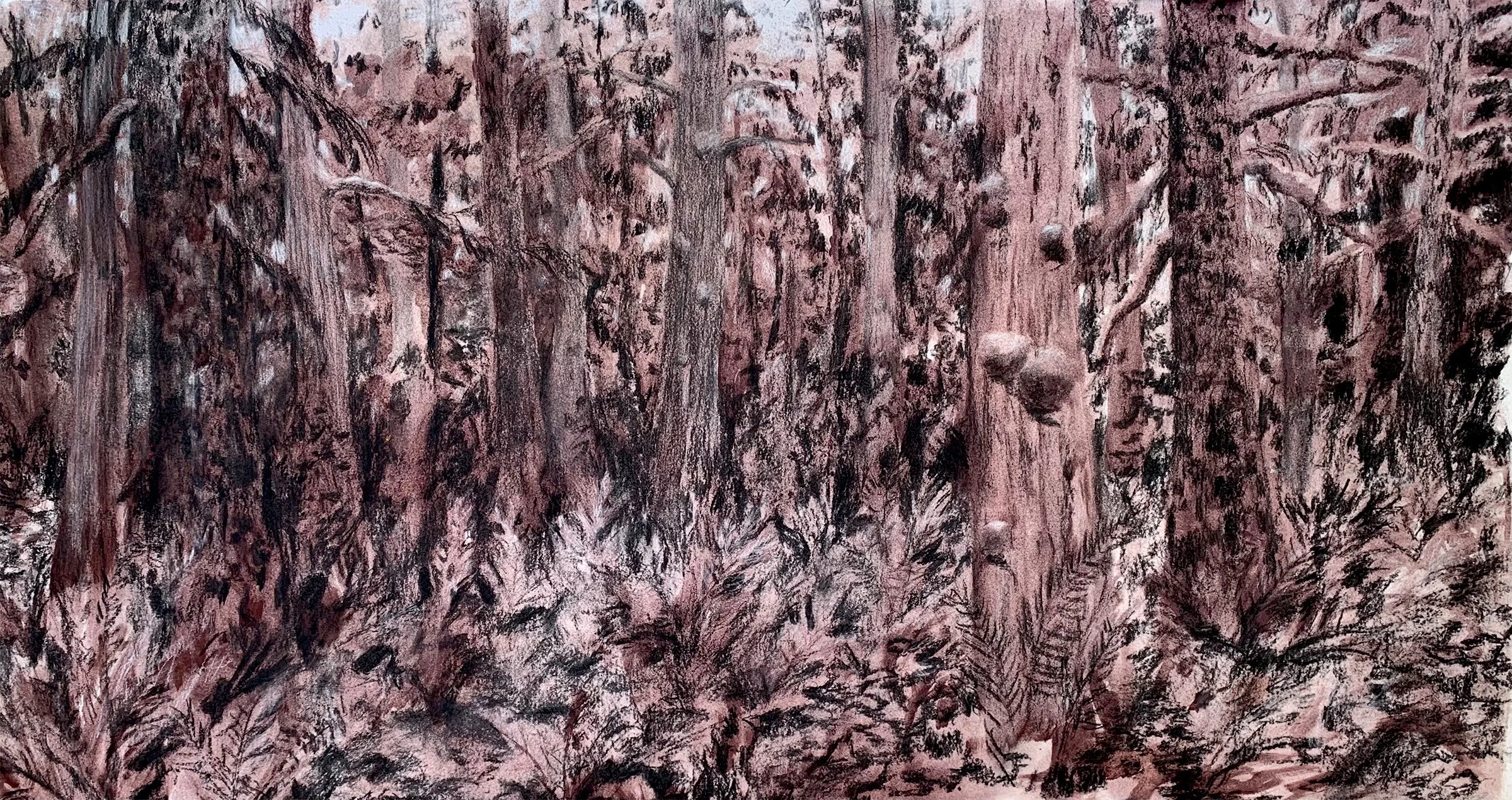 Waking Up in a Washington Rainforest (Olympic Peninsula, WA)