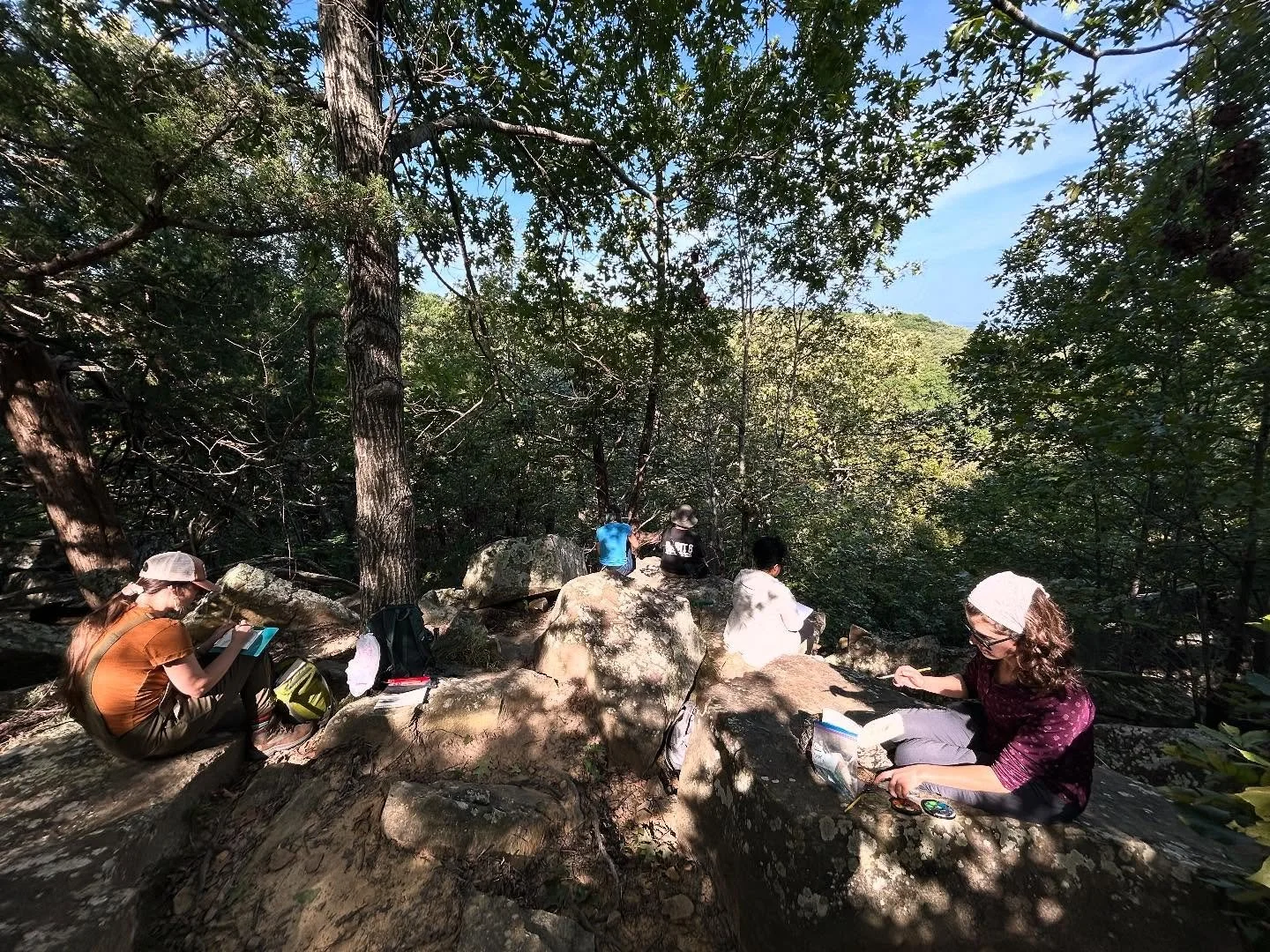 This month&rsquo;s Art Hike was inspired from the chapter &ldquo;Asters and Goldenrod&rdquo; in the book Braiding Sweetgrass by Dr. Robin Wall Kimmerer. These flowers bloom this time of year, the transition into fall. Their colors, purple &amp; yello