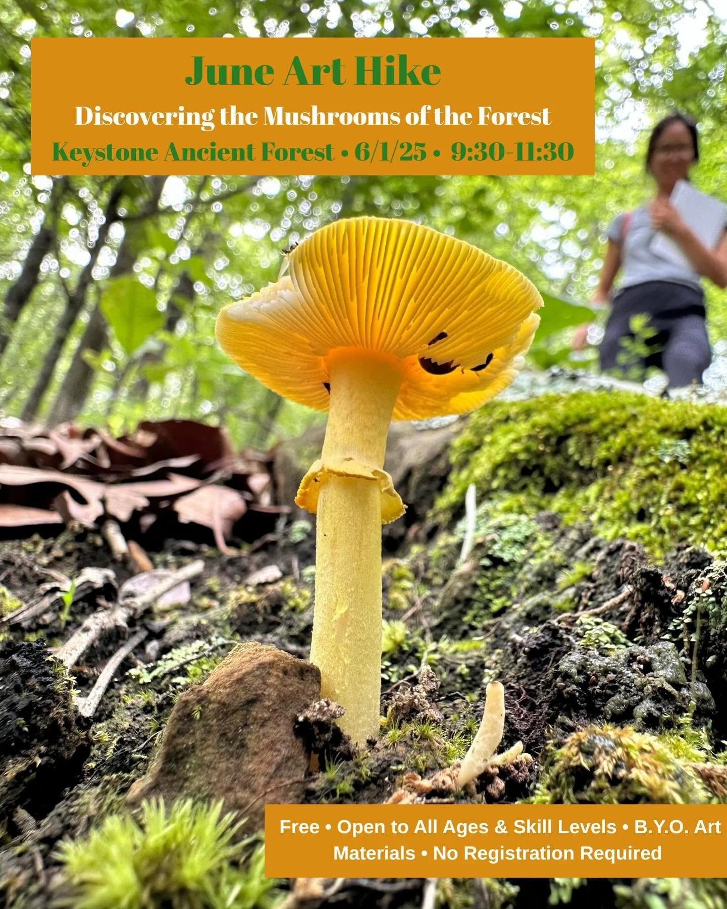 It&rsquo;s time for one of the favorite Art Hikes- Discovering the Mushrooms of the Forest!! 🍄🍄&zwj;🟫 This hike is a bit more active as we will draw on trail as we find the mushrooms instead of stopping at one place to draw. 

Good materials to br