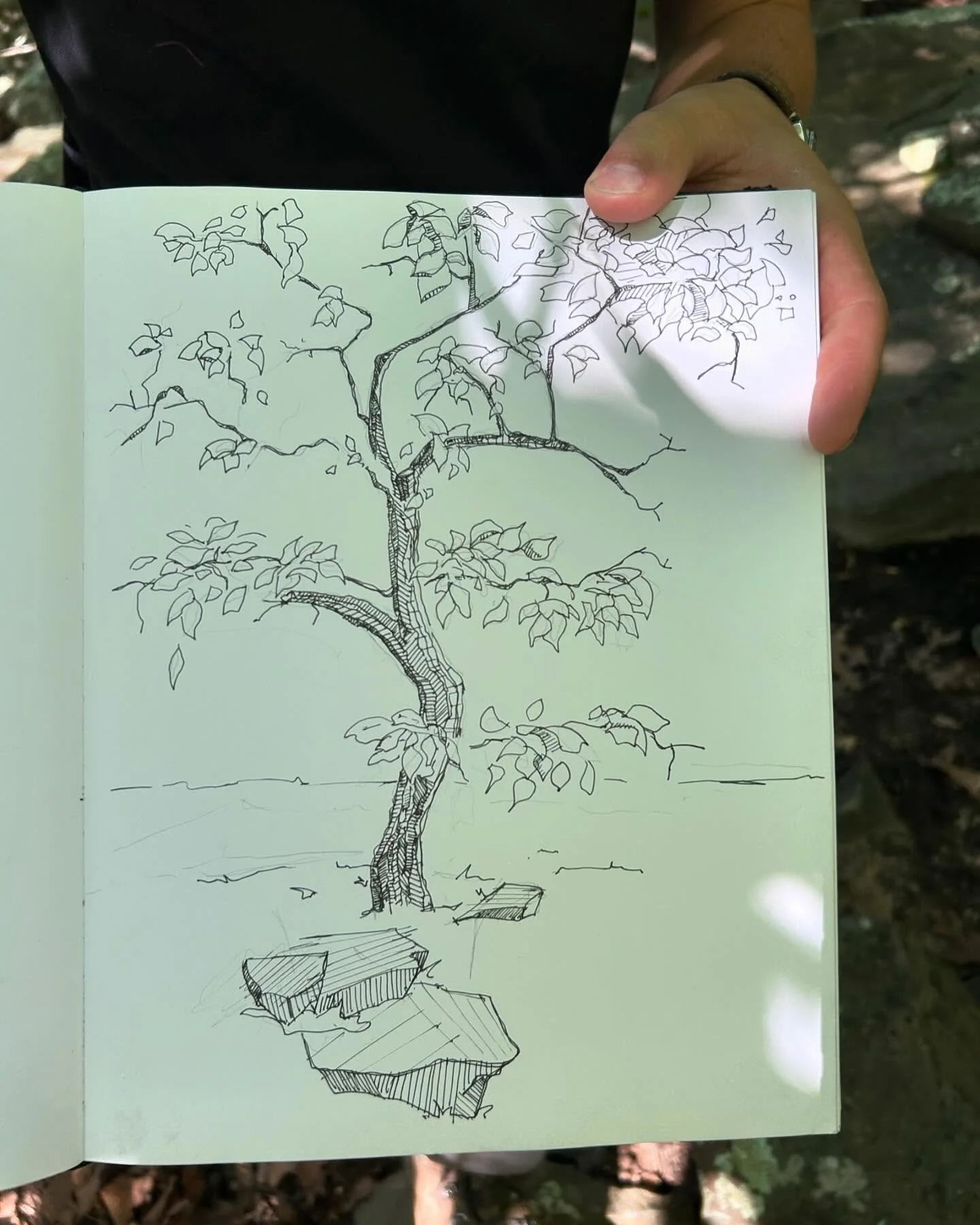 The lovely art from May&rsquo;s Art Hike!

#arthike #ARTventure #hiking #keystoneancientforest #sandsprings #sandspringsok #oklahomahiking #art #drawing #writing #sketching #nature #guidedhike #thingstodointulsa #tulsa #tulsaoklahoma #spring #springi