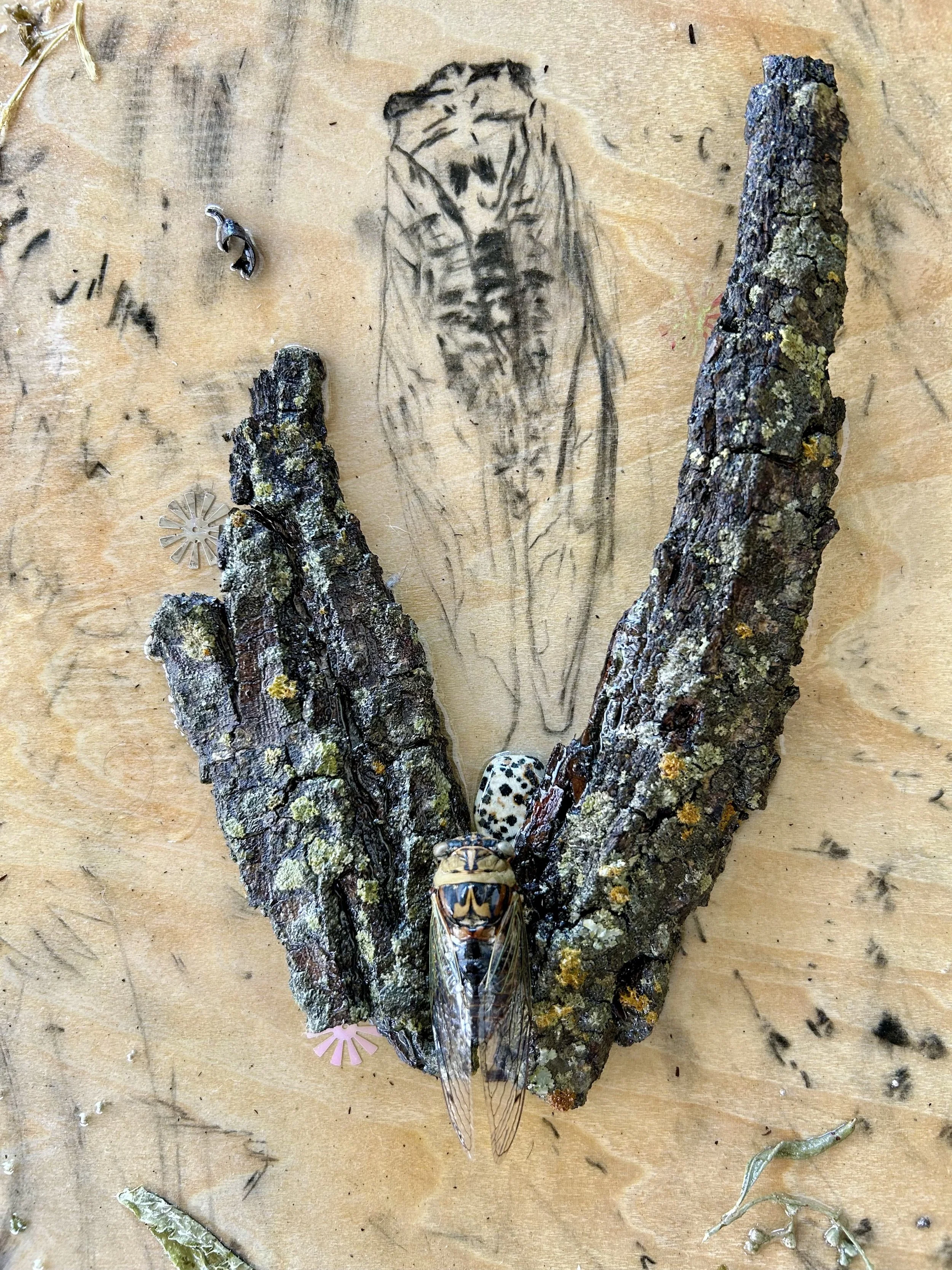 FullSizeRender (1).jpeg