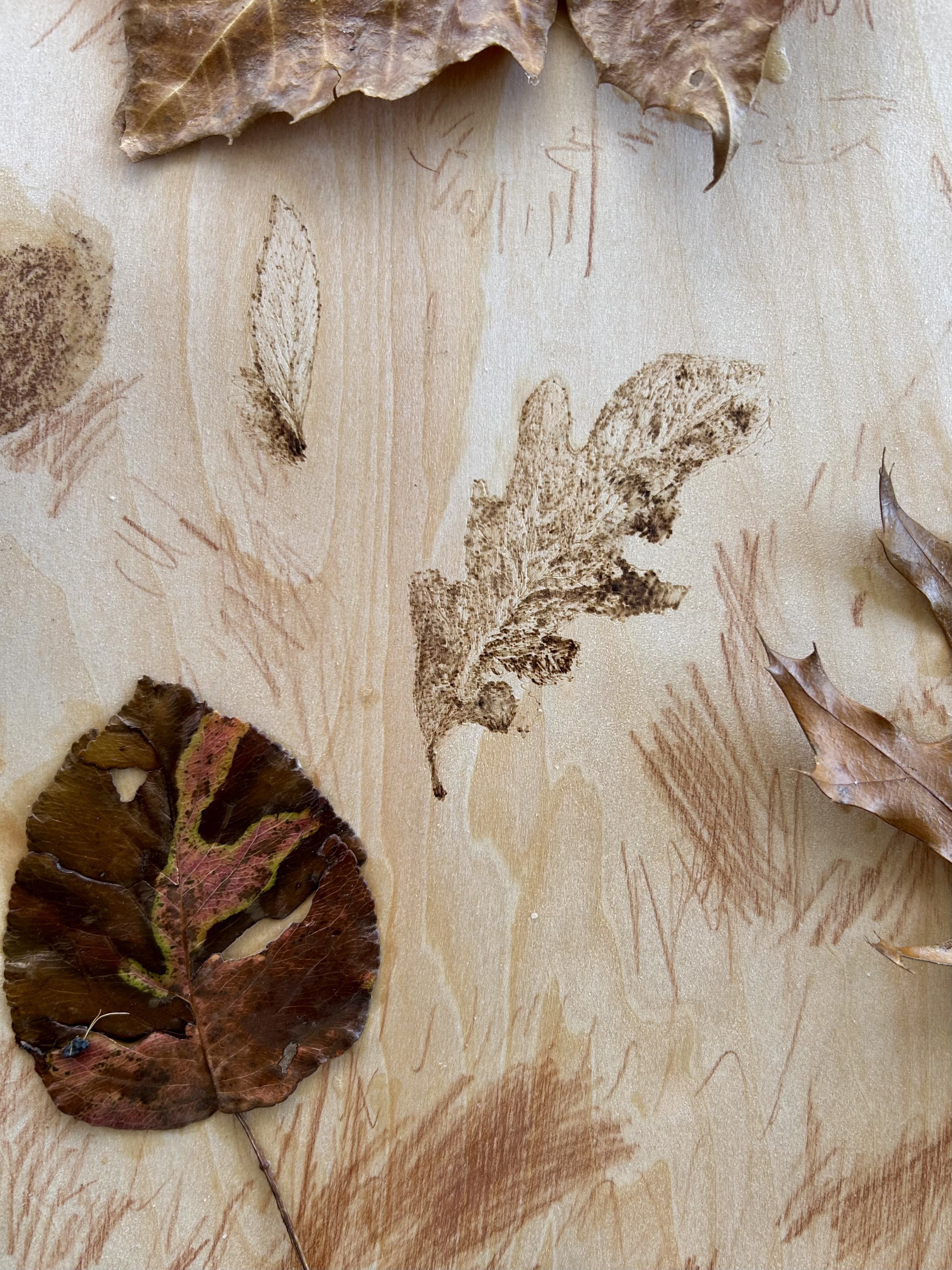 FullSizeRender (6).jpeg