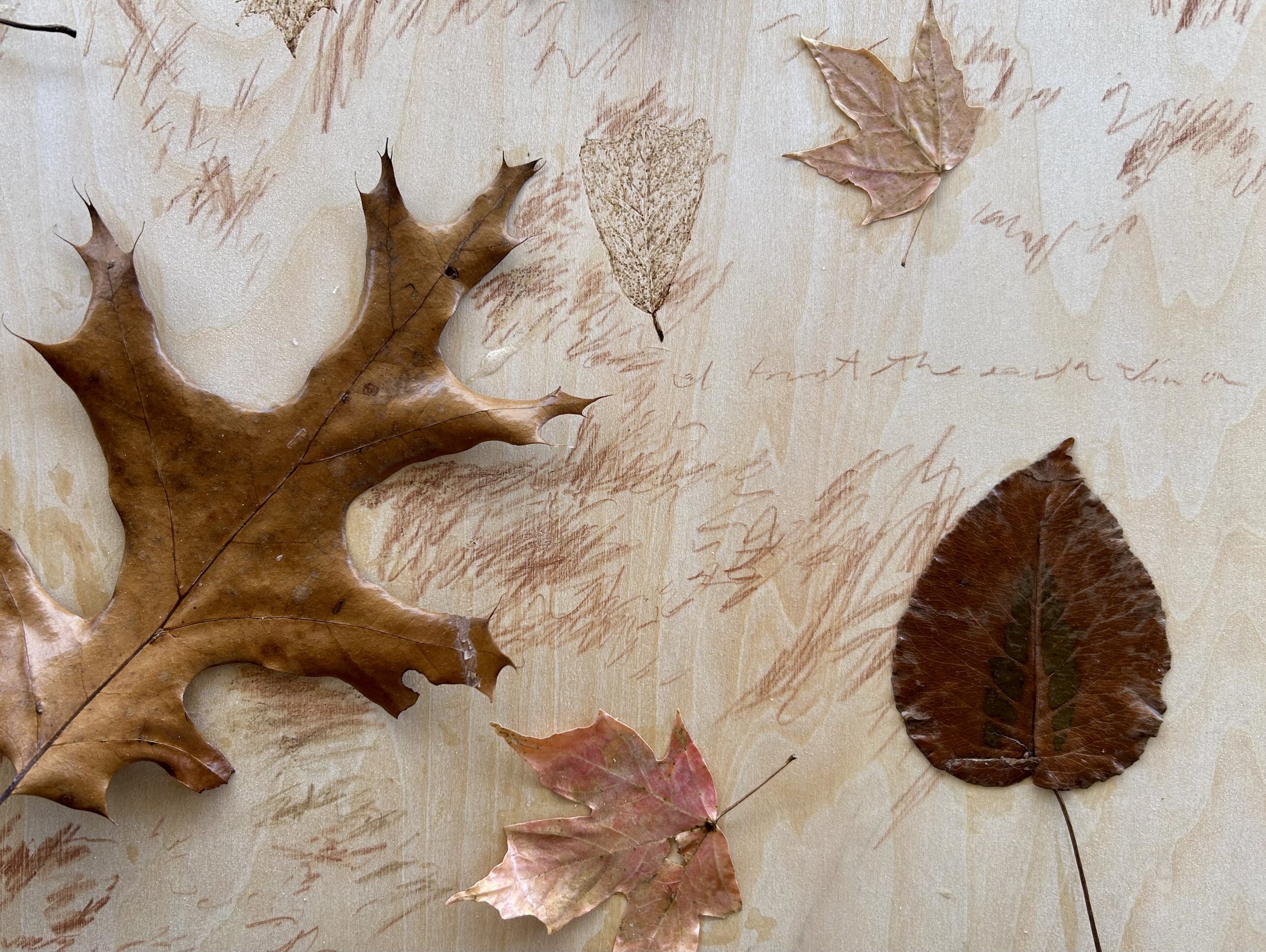 FullSizeRender (4).jpeg