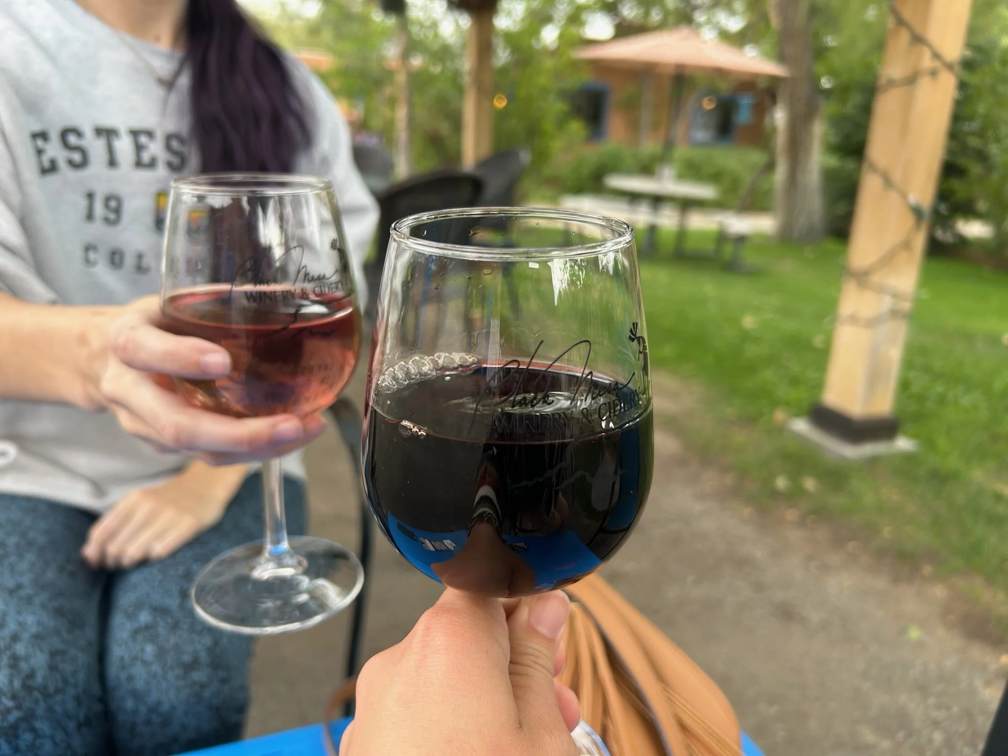 Taos_Vineyards.JPG