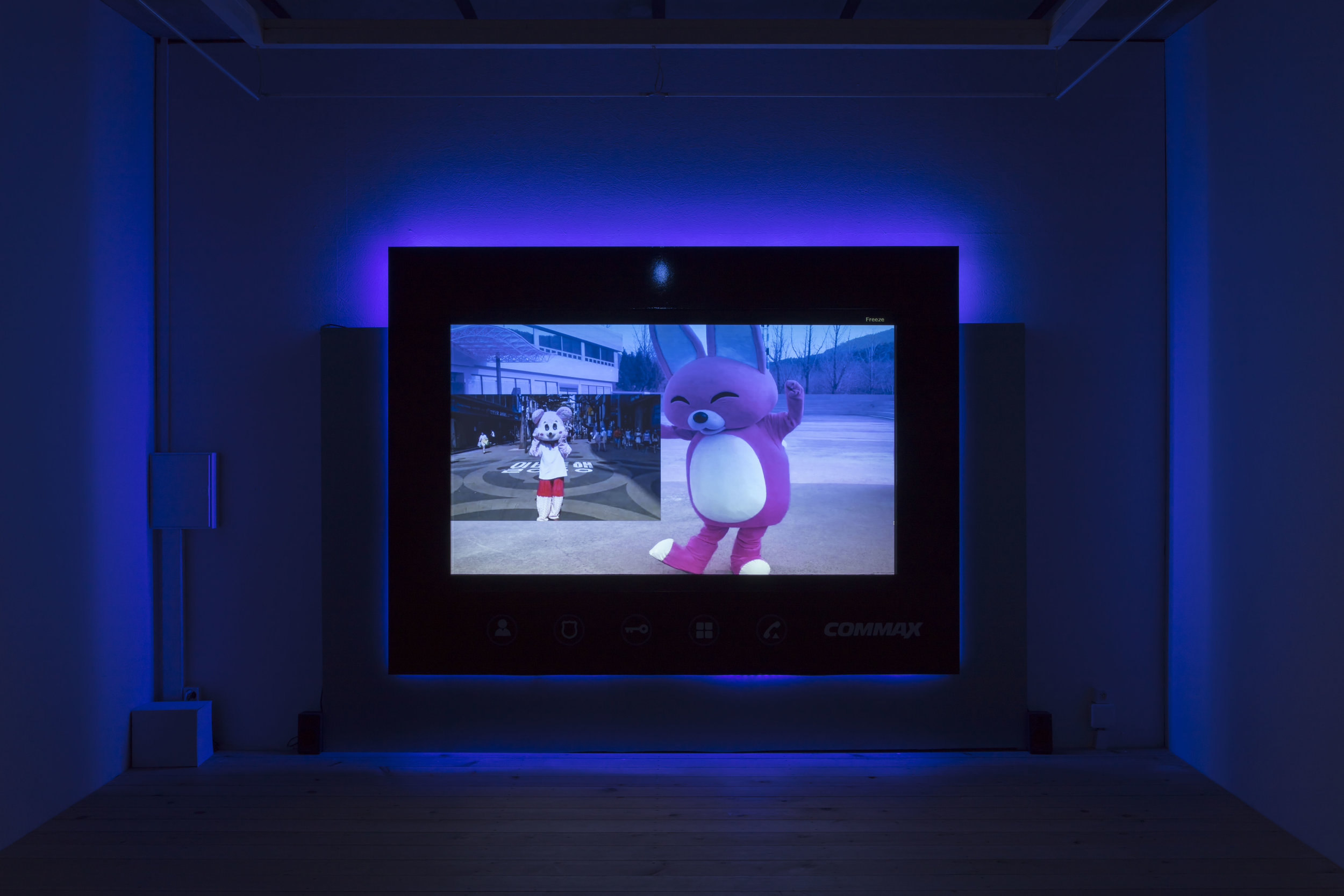 Dancing Eyes I, 2017, video installation, HD video and sound 