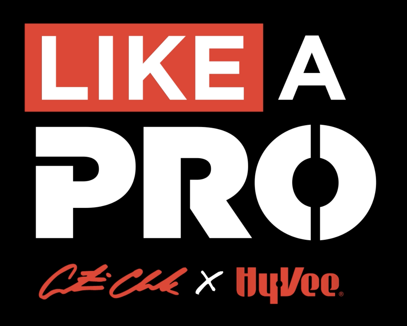 like a pro logo.png