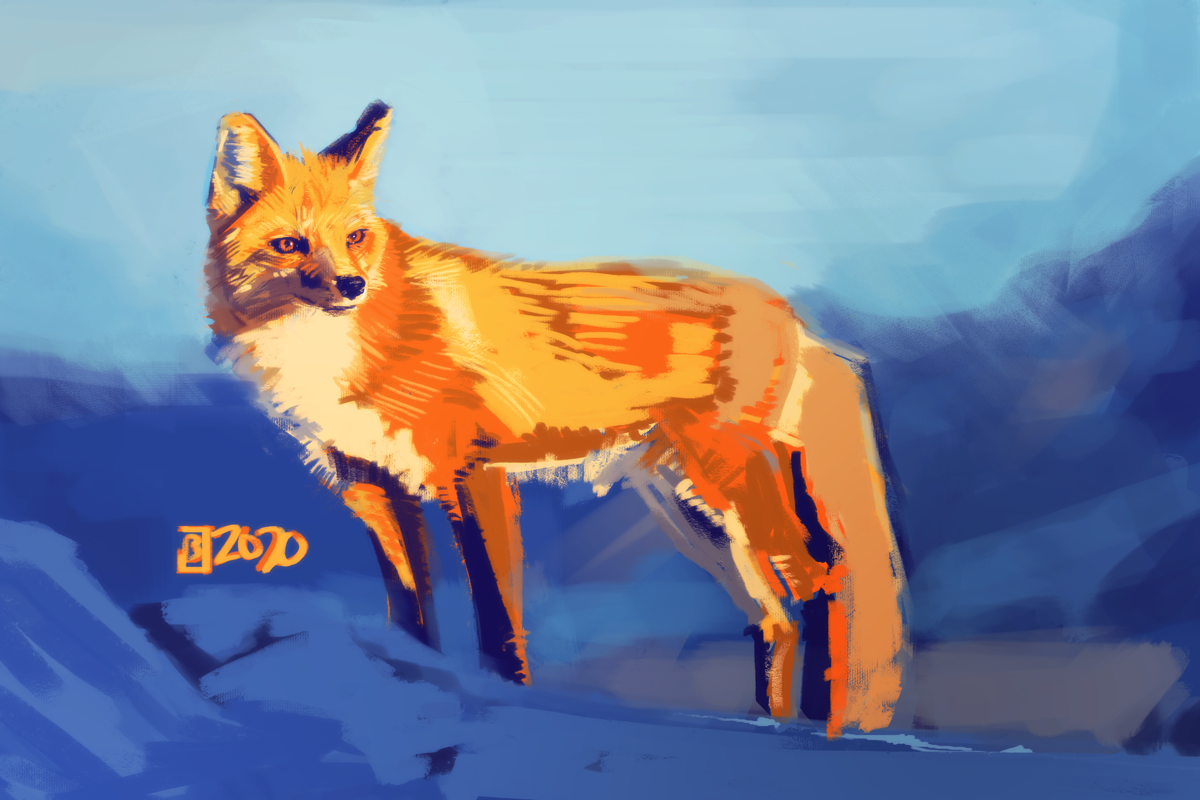 FoxStudy2020_60in.png