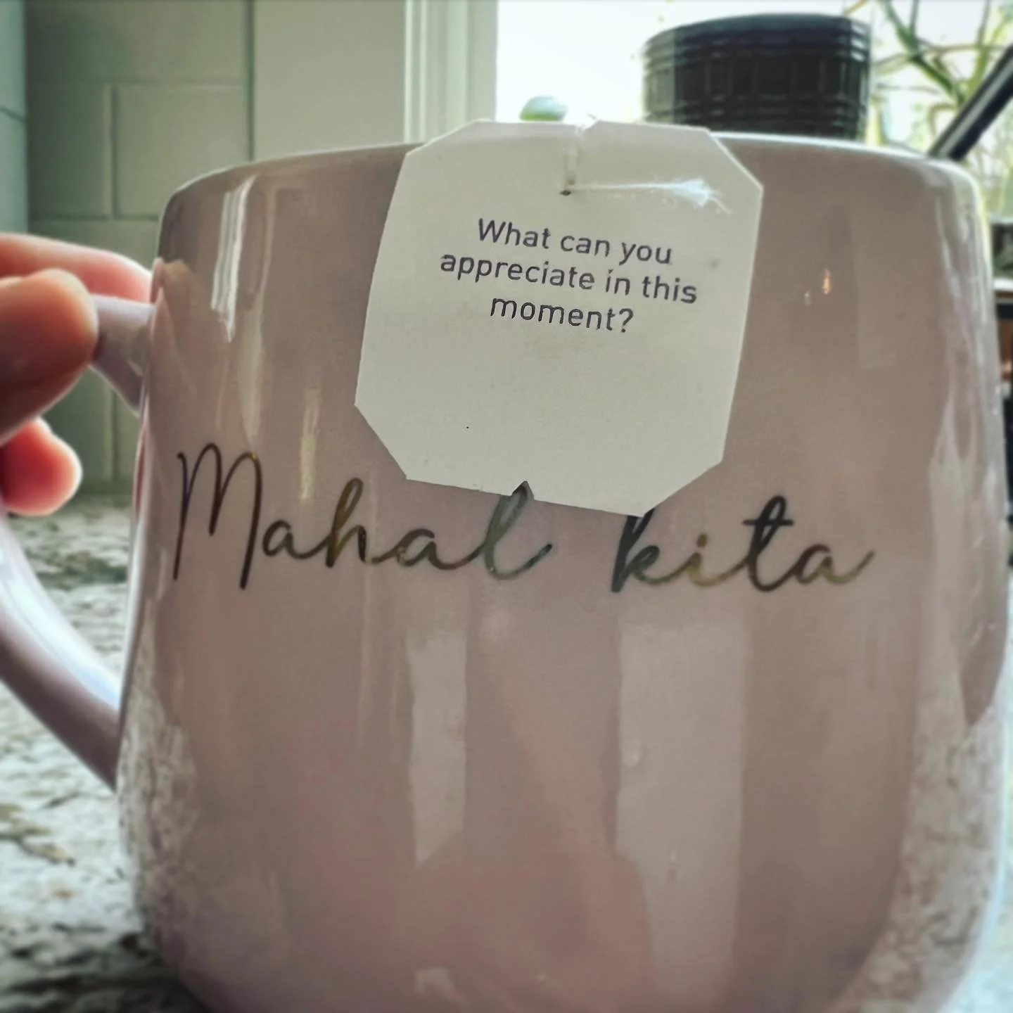 What can you appreciate in this moment? πβ¨πβ¨πβ¨πLove in any language Mahal Kita Te amo Tea Time #tea #Love #amor #teamo #teatime #messages #pause #takein #moments