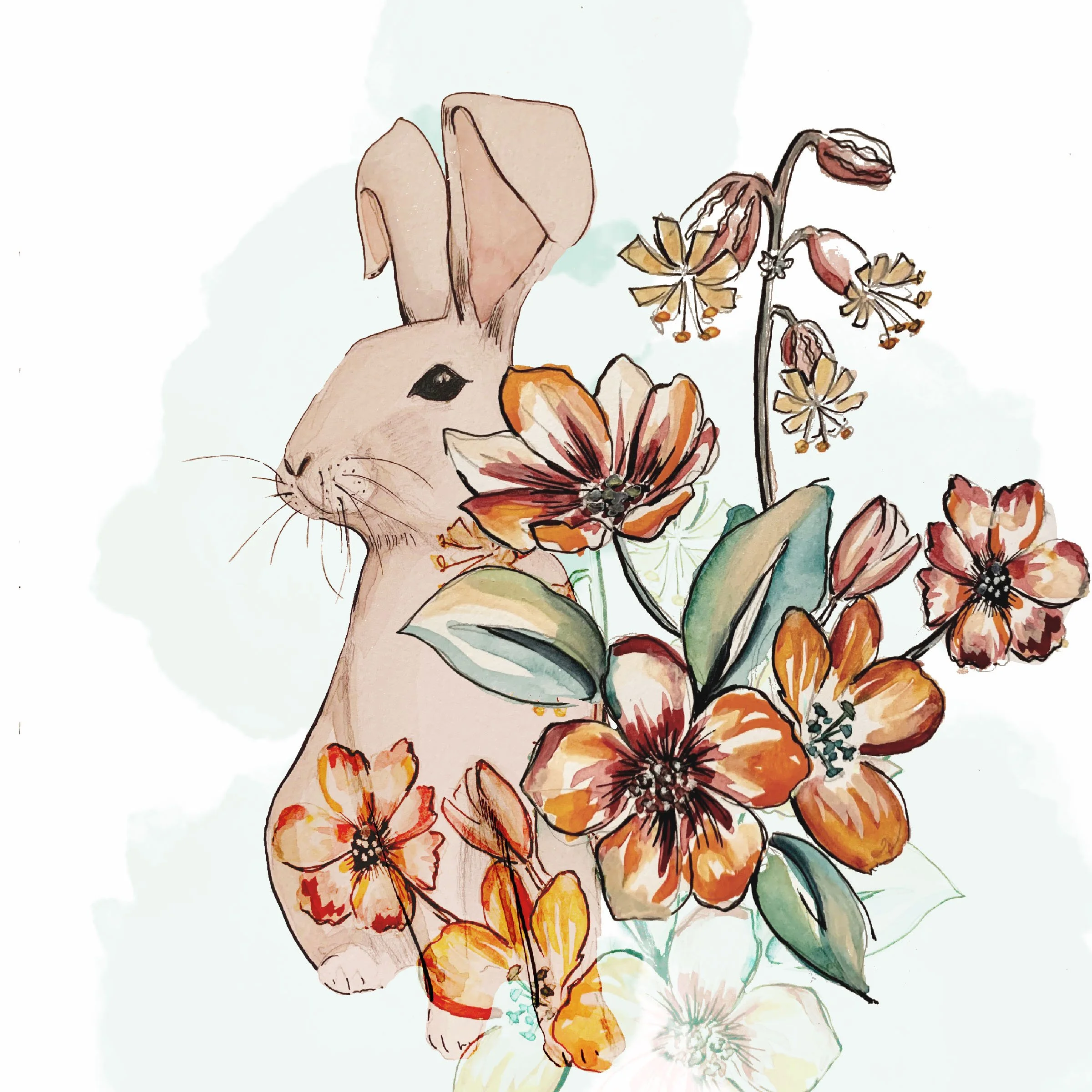 IMG_7191rabbit.jpg