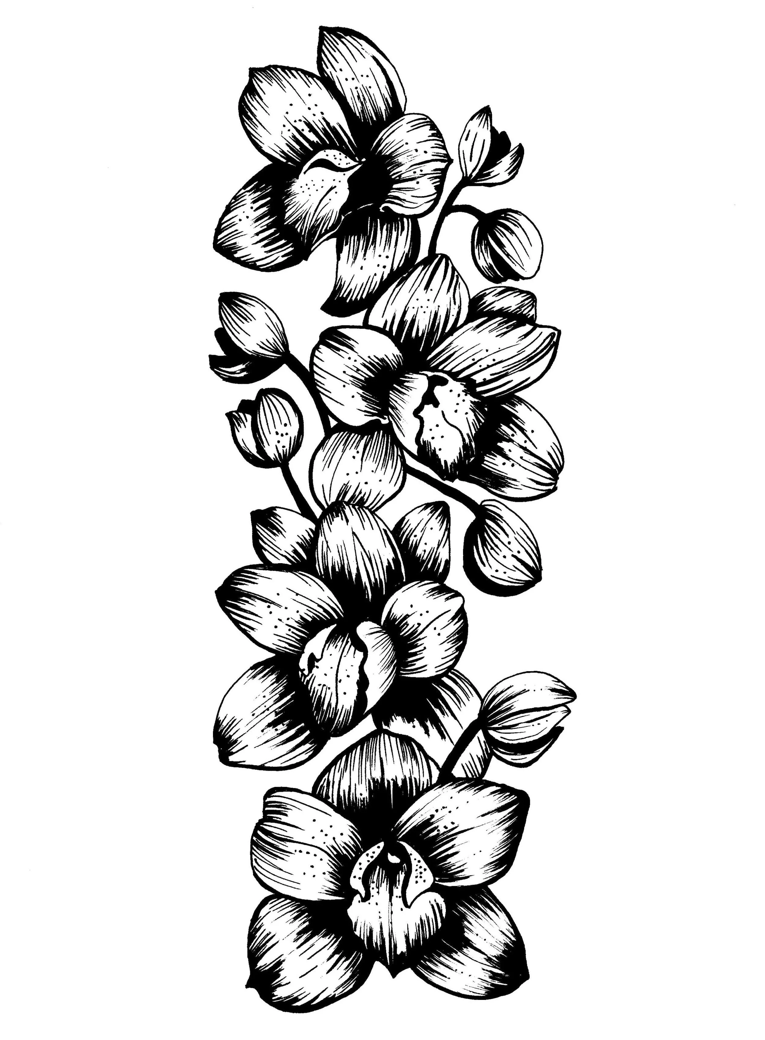 Diana+tattoo.webp