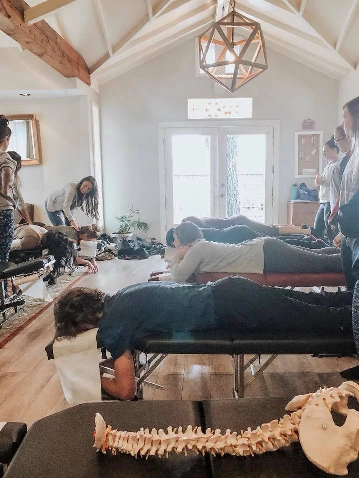 Dr. Sura Corrigan teaching seminars on nervous system-based chiropractic care for women and families