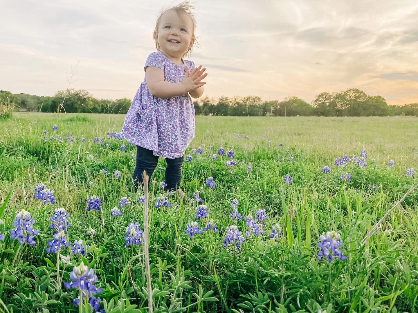 Scouting for wildflowers 😍