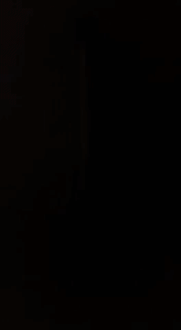 baton 1.gif