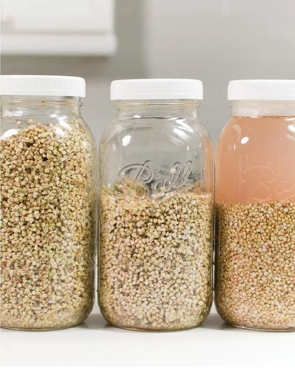 Why We Soak and Sprout