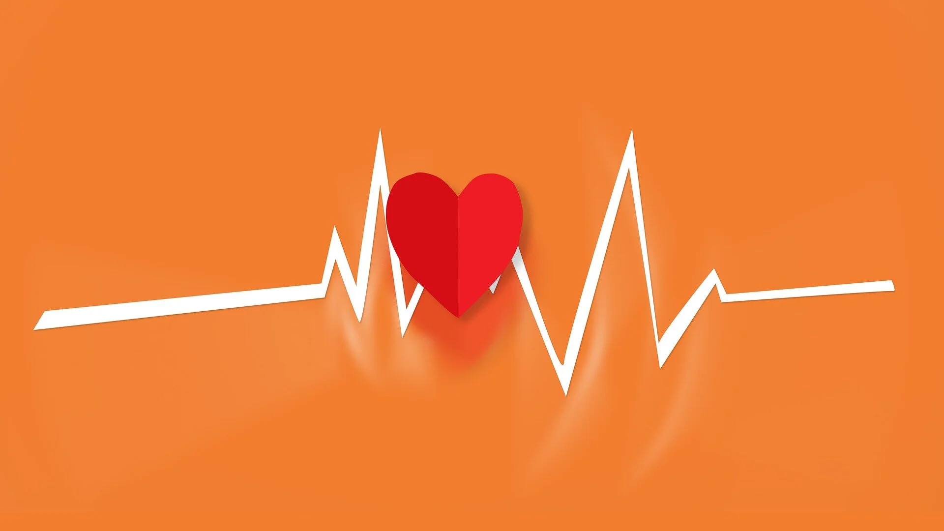 Were we wrong  about heart disease all this time?