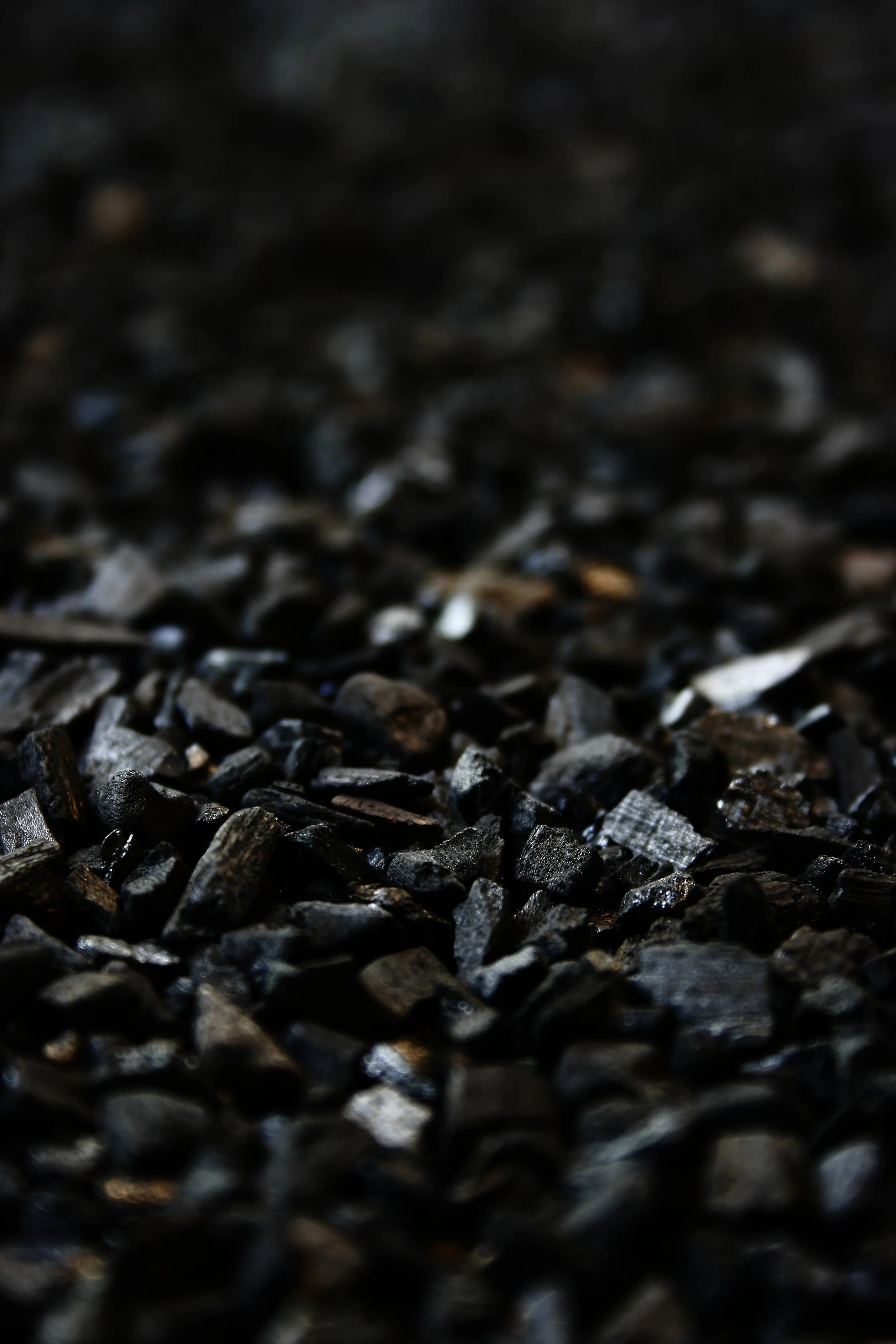 The Power of Activated Charcoal