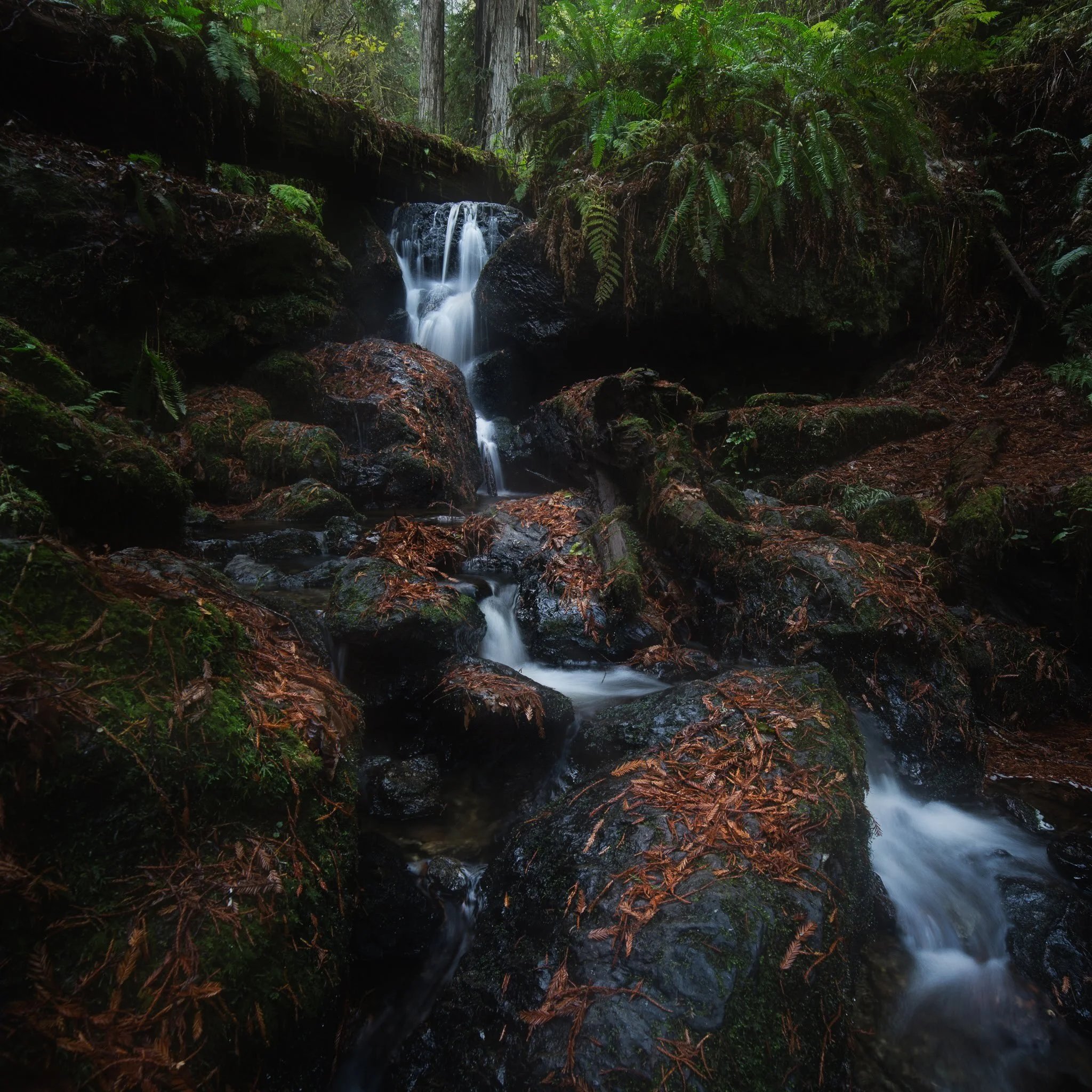 IMG_9048-Edit.jpg