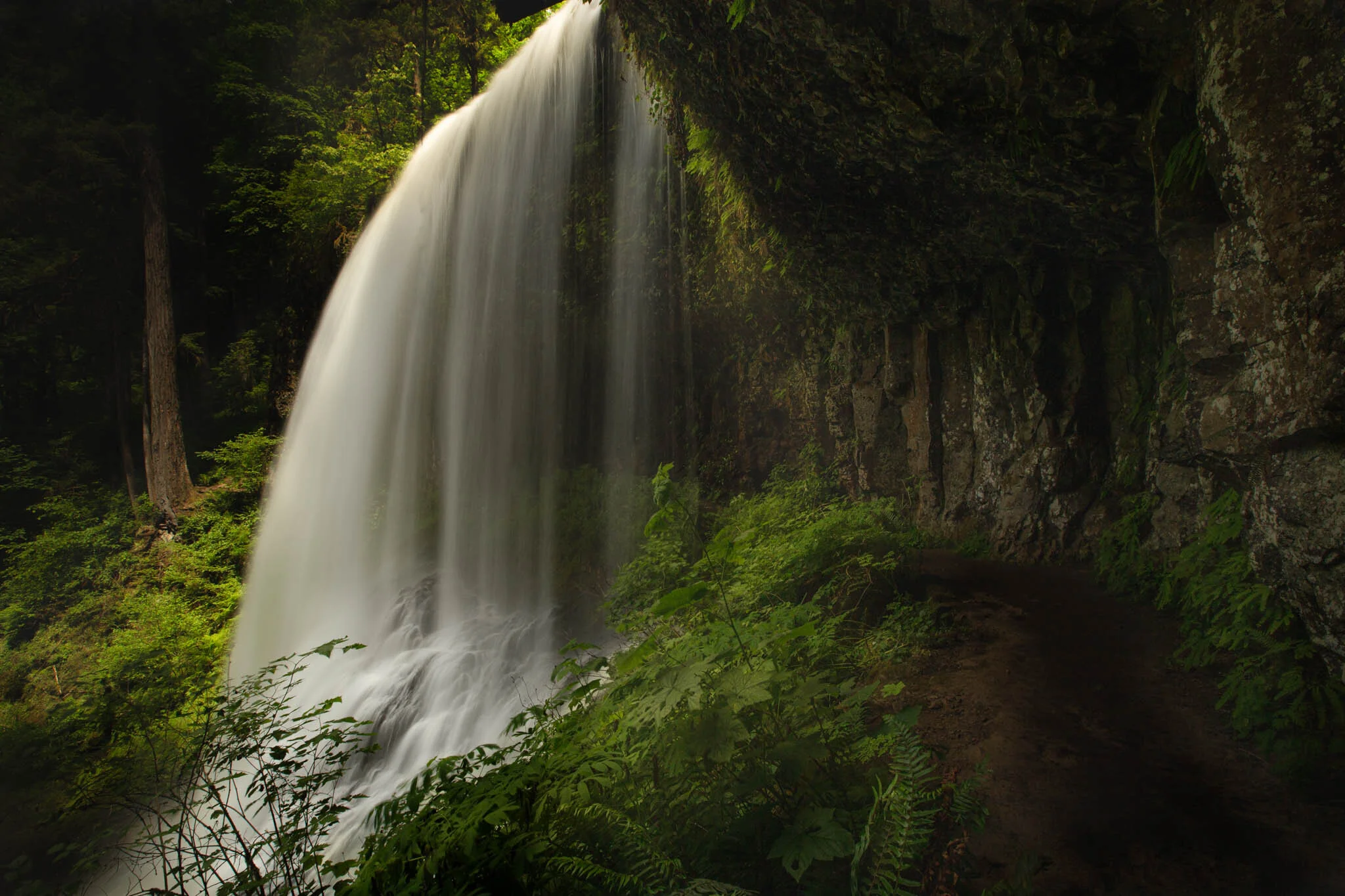 IMG_5316-Edit.jpg