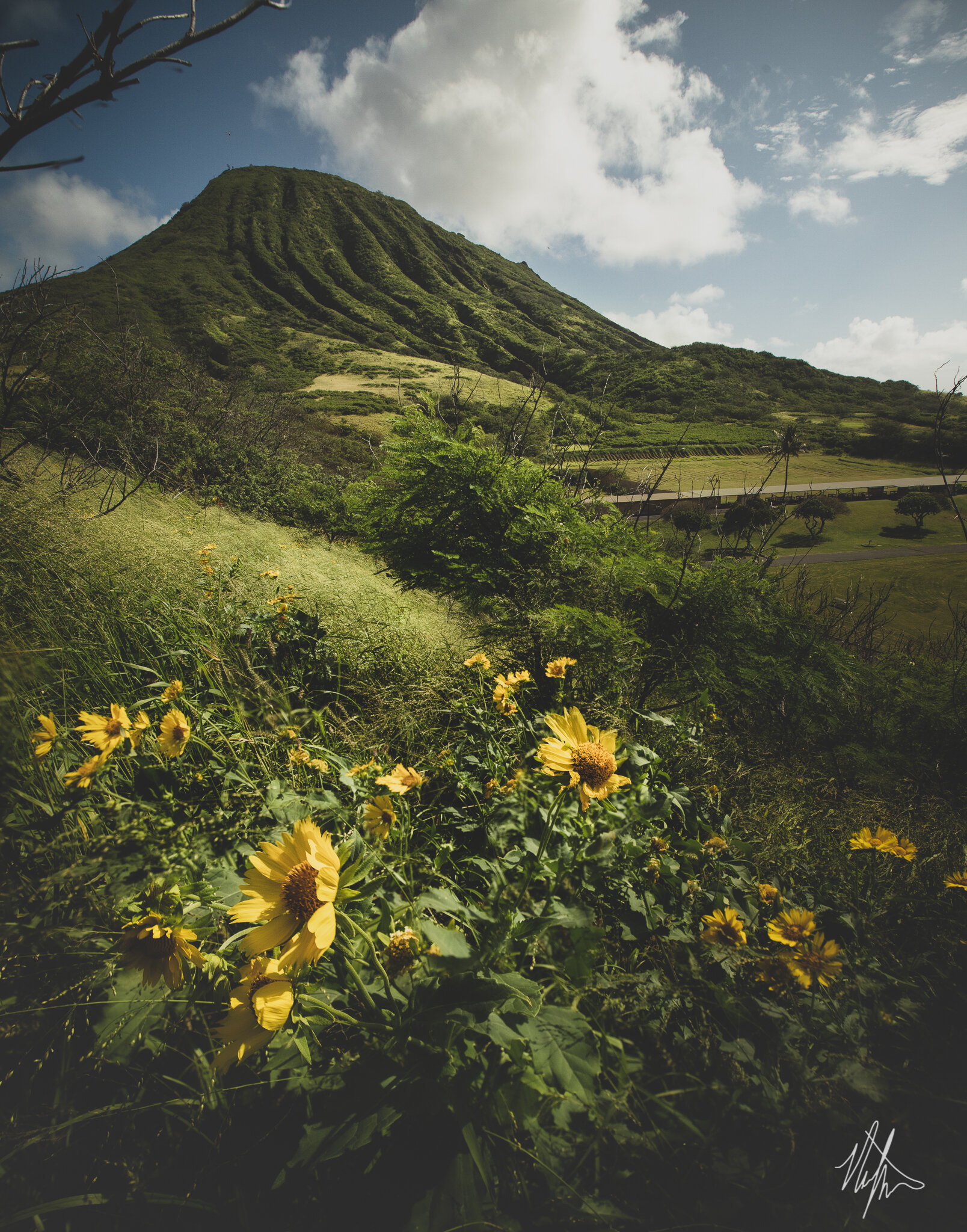 IMG_0203-Edit.jpg