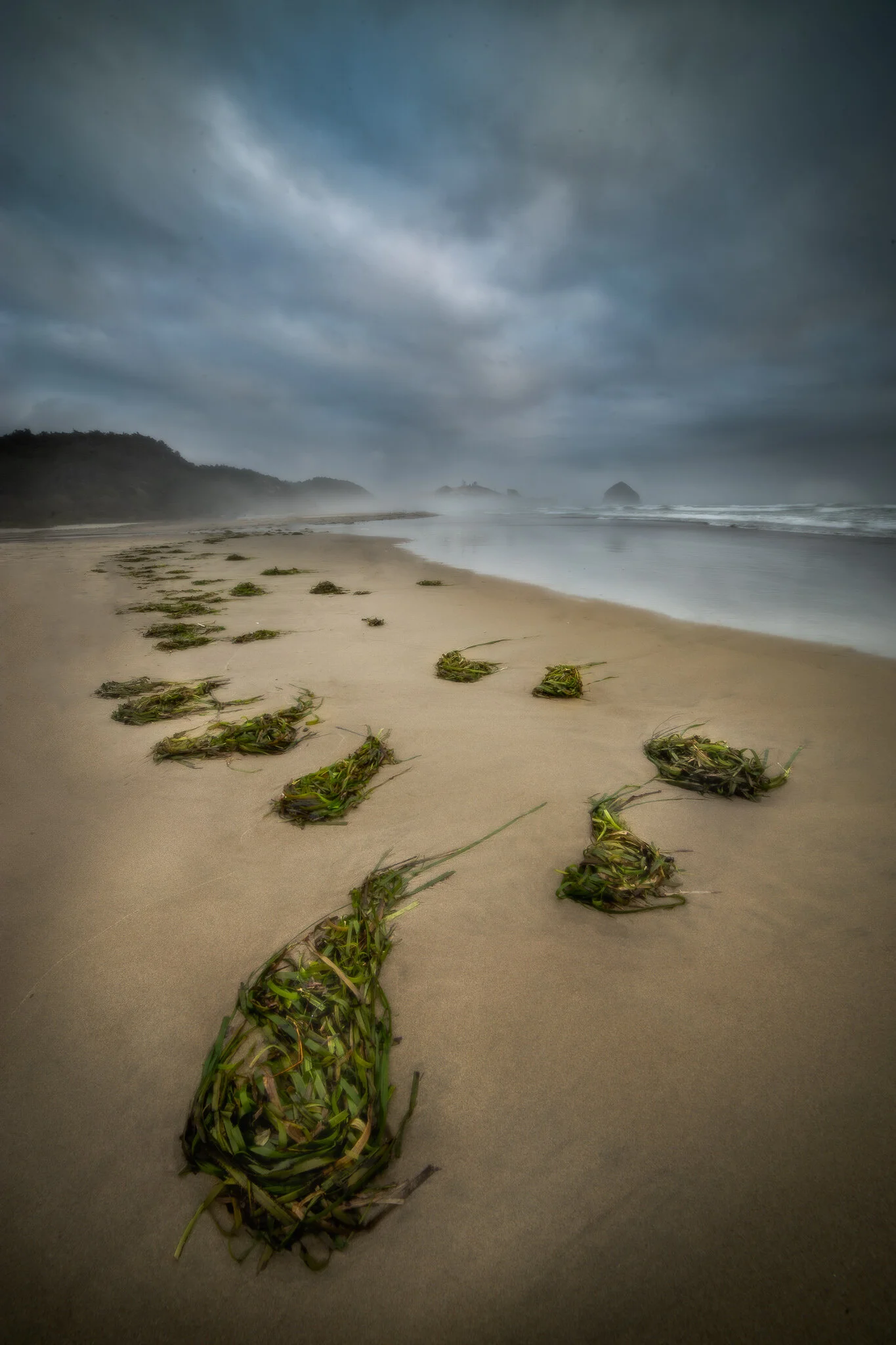 IMG_7364-Edit.jpg
