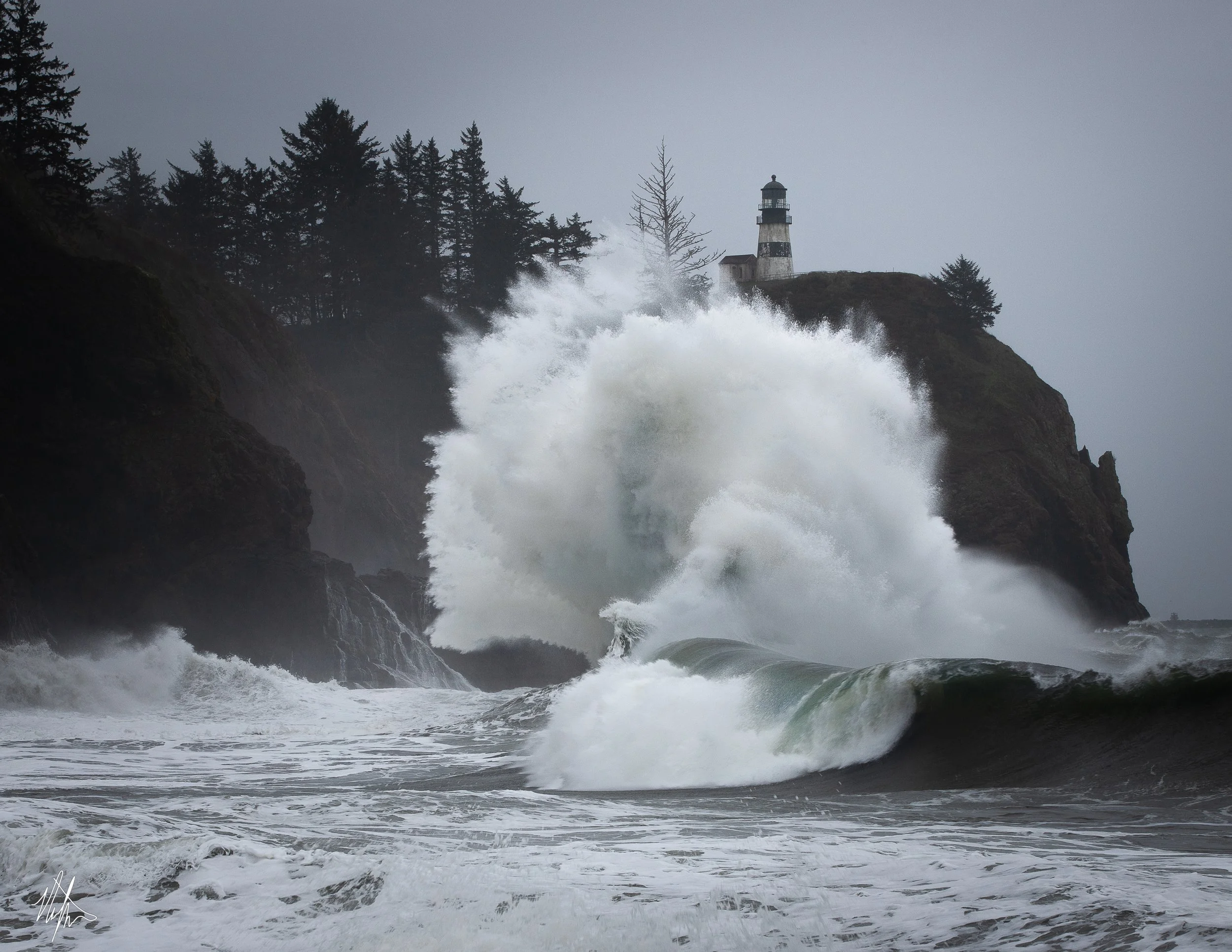 cape dissapointment 16x20.jpg
