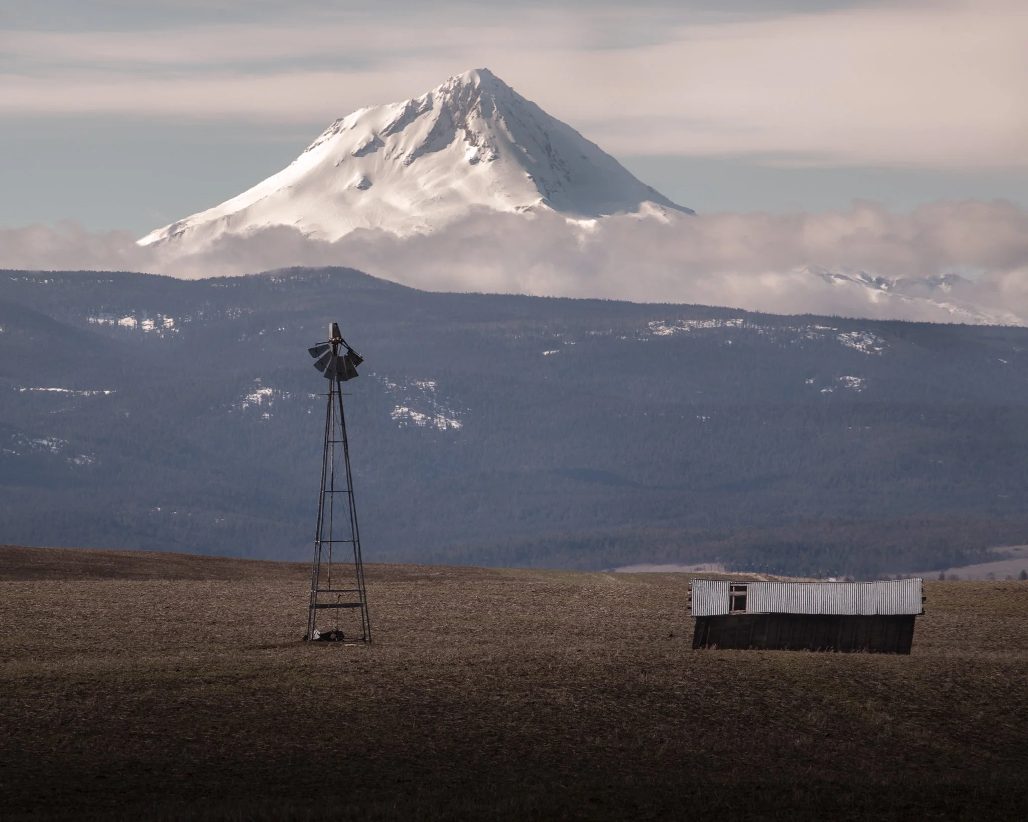 mt hood east side.jpg